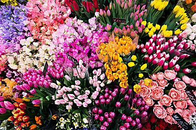 游戏运营商赖账网易600万 曾合作梦幻西游等作