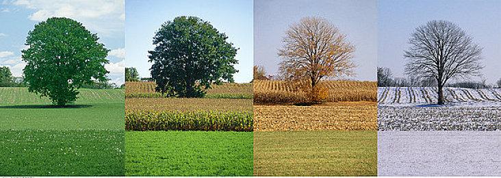 乐高积木解谜游戏《乐高积木传说》发布全新预告